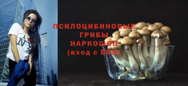 PSILOCYBIN Верея