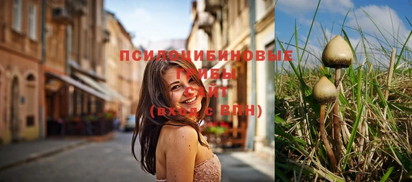 PSILOCYBIN Верея