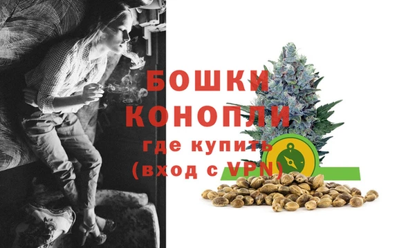 мдпв Бронницы