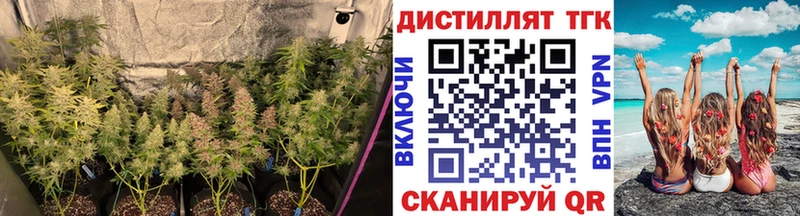 Дистиллят ТГК THC oil  Крым 
