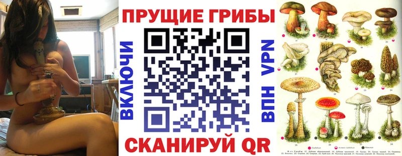 Псилоцибиновые грибы Psilocybine cubensis  продажа наркотиков  MEGA вход  Крым 